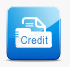 Credit Report